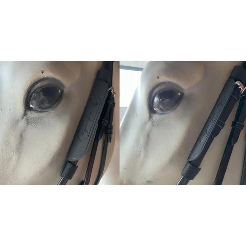 Equipe Blinkers - Black